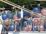 SX07482 Purple and pink bouys on boat in Padstow harbour.jpg